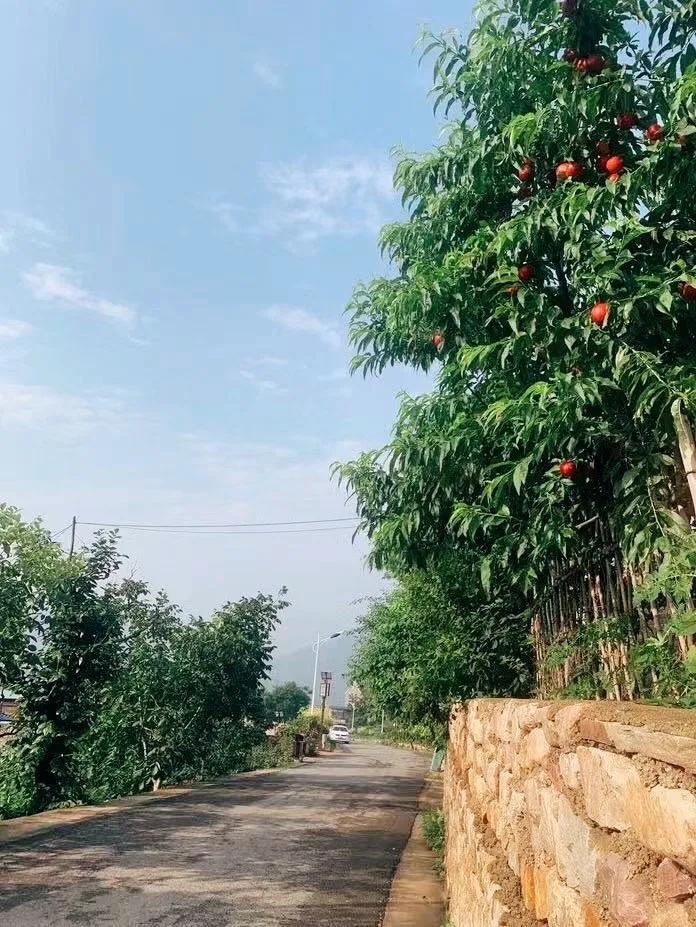 蓟州农家院吃住玩价格,蓟州十佳农家院