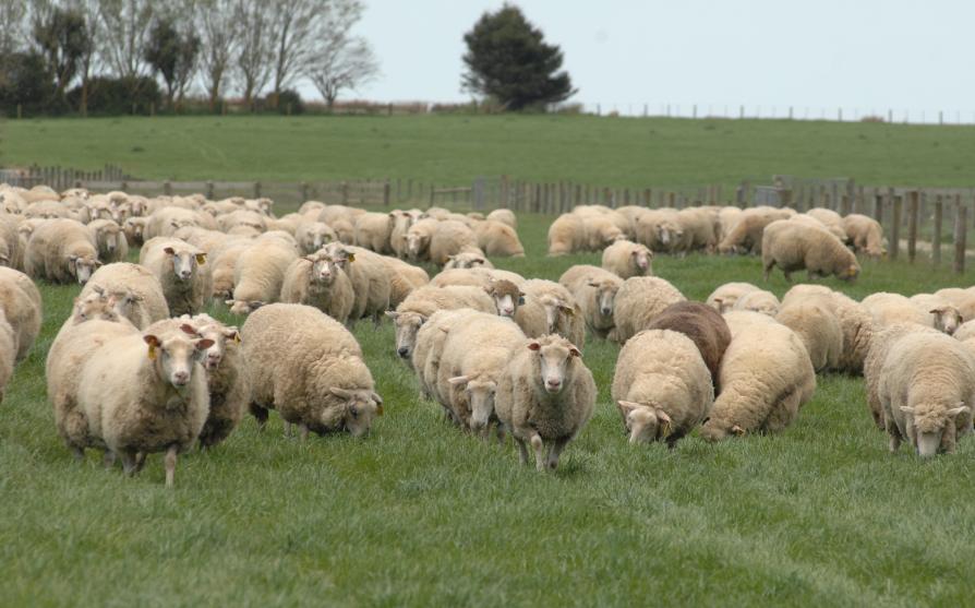 配方奶粉过敏的宝宝都是什么辅食,不知道宝宝过敏程度该怎么选奶粉
