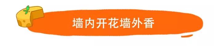 纯牦牛奶酪,西藏牦牛奶酪怎么吃