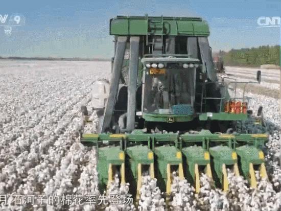 嘲讽nike的段子,嘲讽nike段子