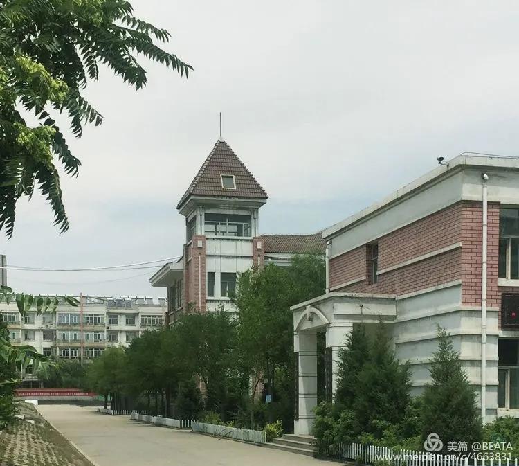乌达市团结路小学2018年,乌海市乌达区团结路小学党建