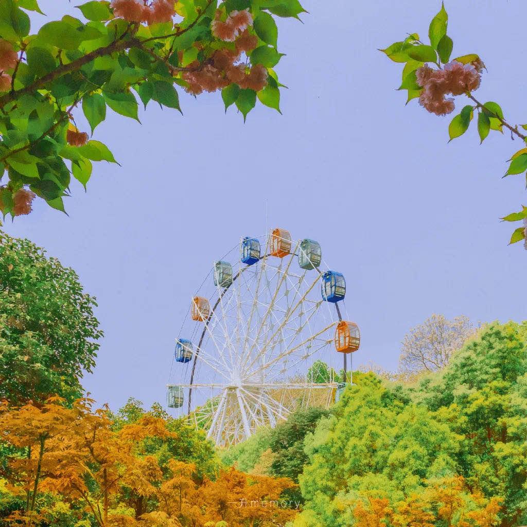 穿书恶毒女配文推荐现代,穿书小说恶毒女配文推荐