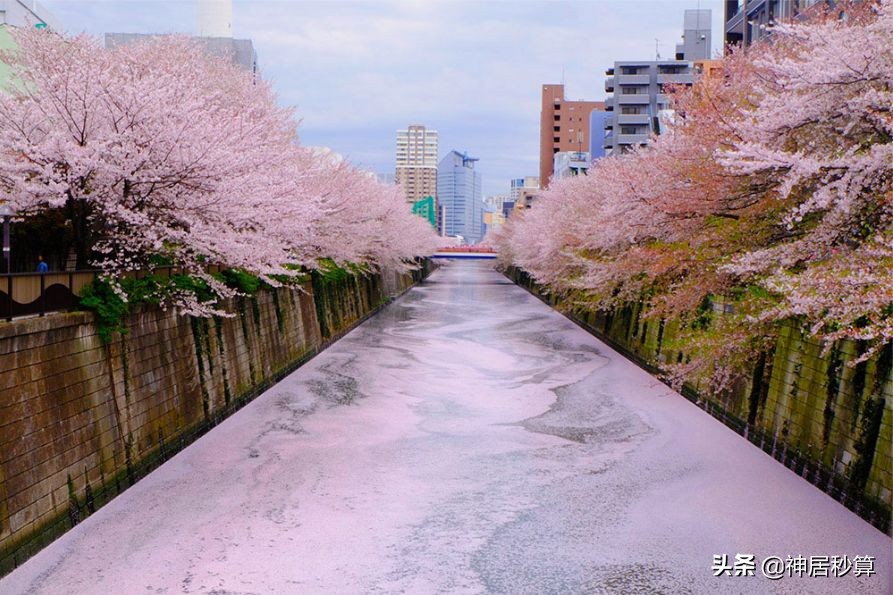 日本自由之丘甜点,自由之丘的甜品圣地