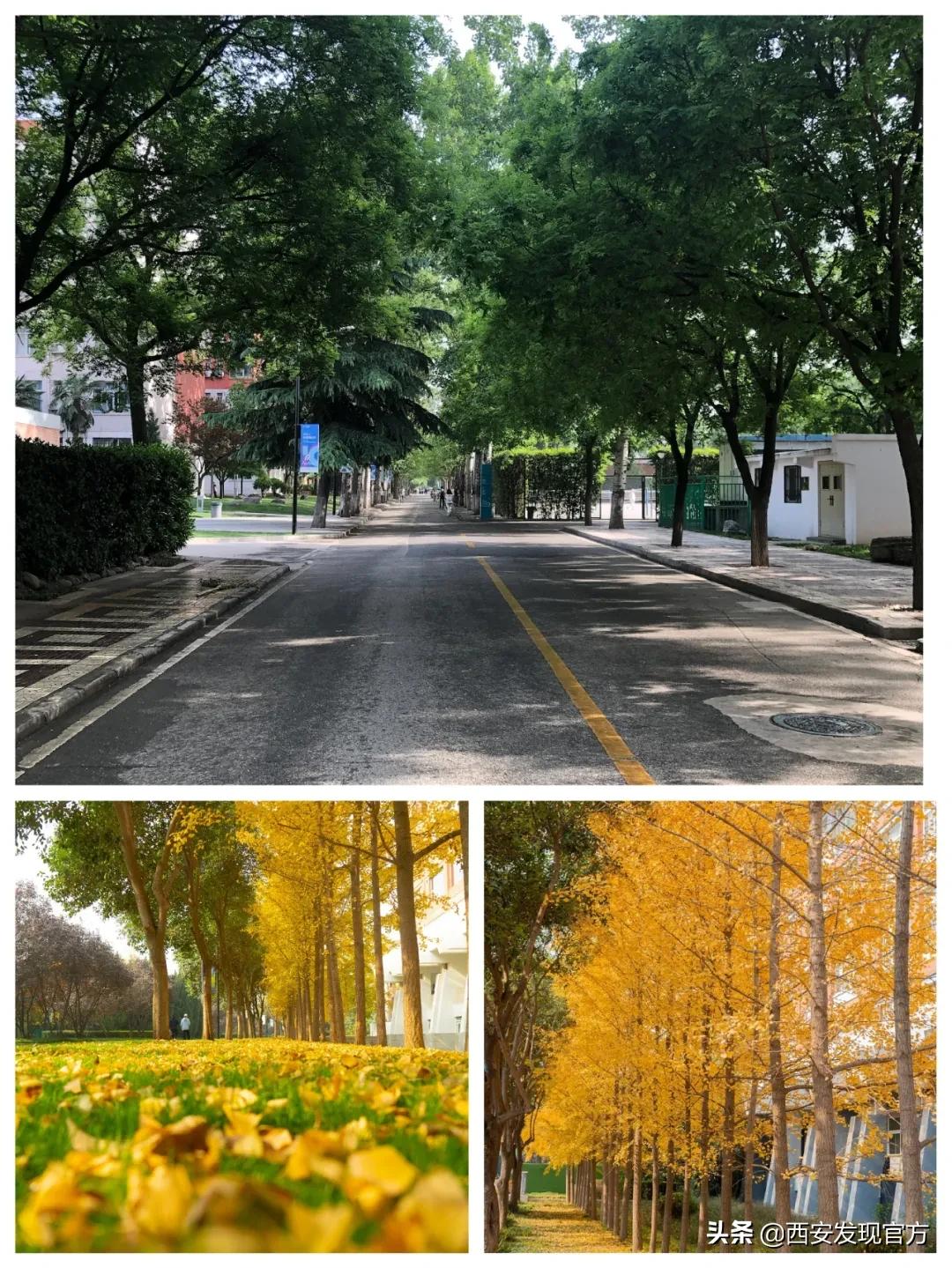 西安欧亚学院贵族学校,传说中的贵族学校西安欧亚学院