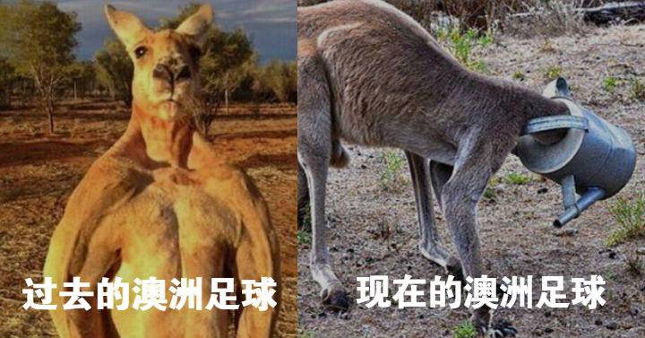 越来越菜吃鸡,越来越菜