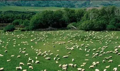 中国公民出入境可以携带多少现金,出入境韩国现金携带规定