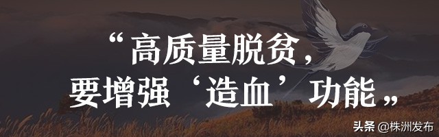待到山花烂漫——追记“最美扶贫书记”黄诗燕