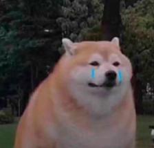 保险返佣成功案例,卖保险返佣金