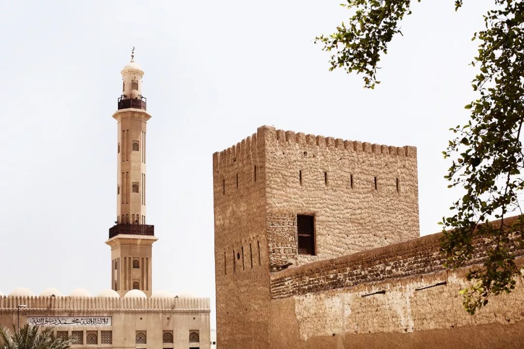 靠捡垃圾成了千亿富翁完整版,捡垃圾变成百万富翁