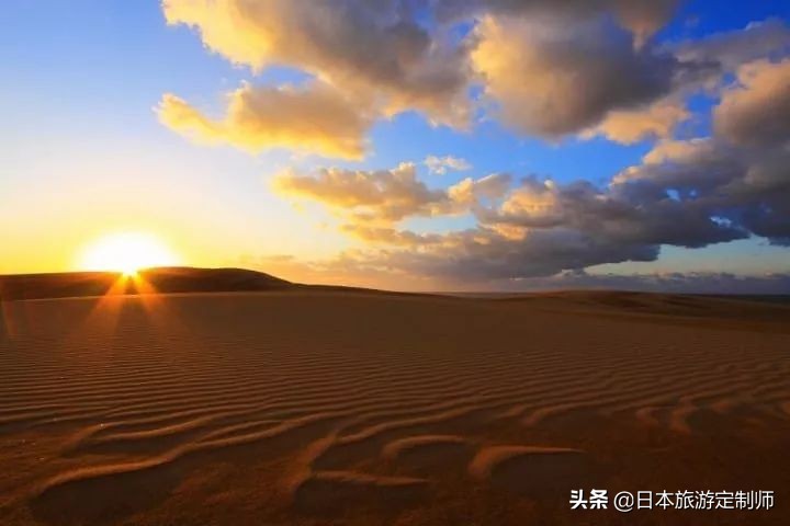 日本最美小景点,日本超美的花海美景