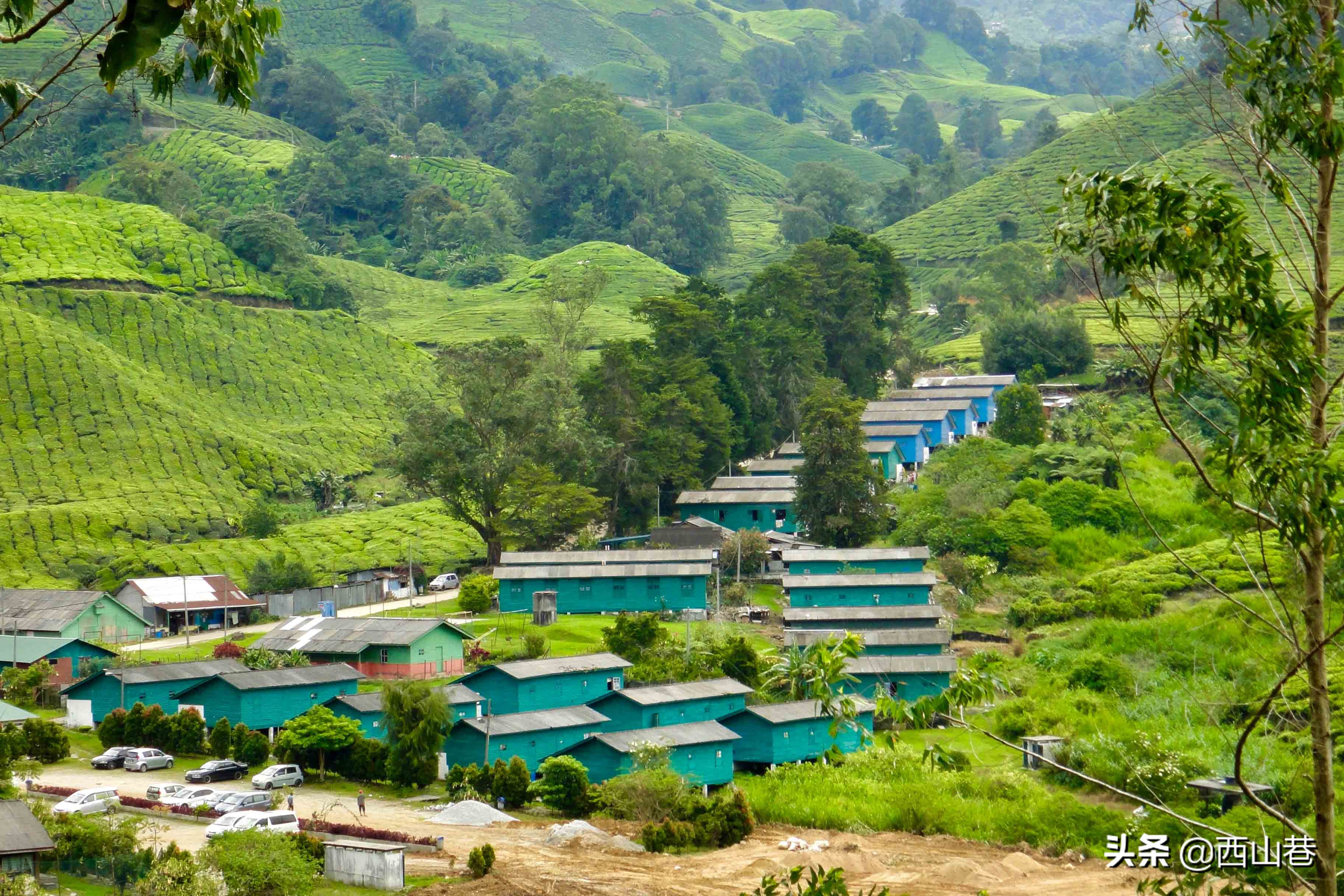 马来西亚国民奶茶品牌,马来西亚传统国民零食品牌叻歌派