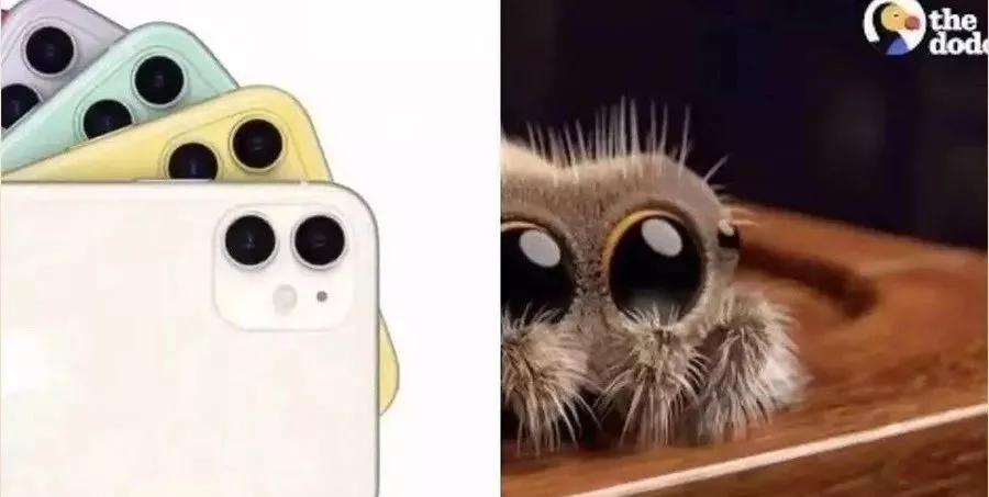 苹果的摄像头和浴霸对比图,苹果浴霸摄像头