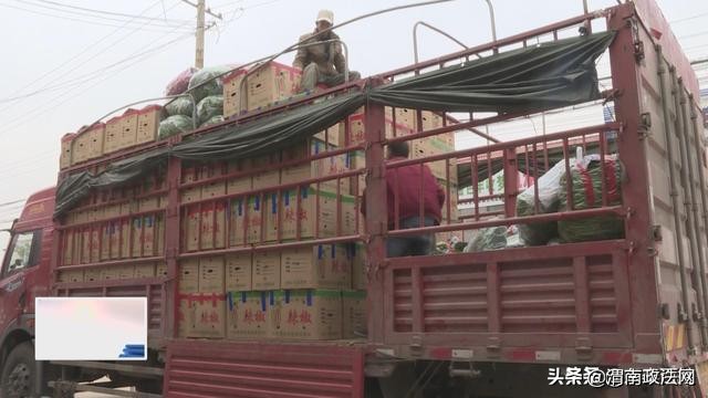 蒲城市最新诈骗案,蒲城最新诈骗案件