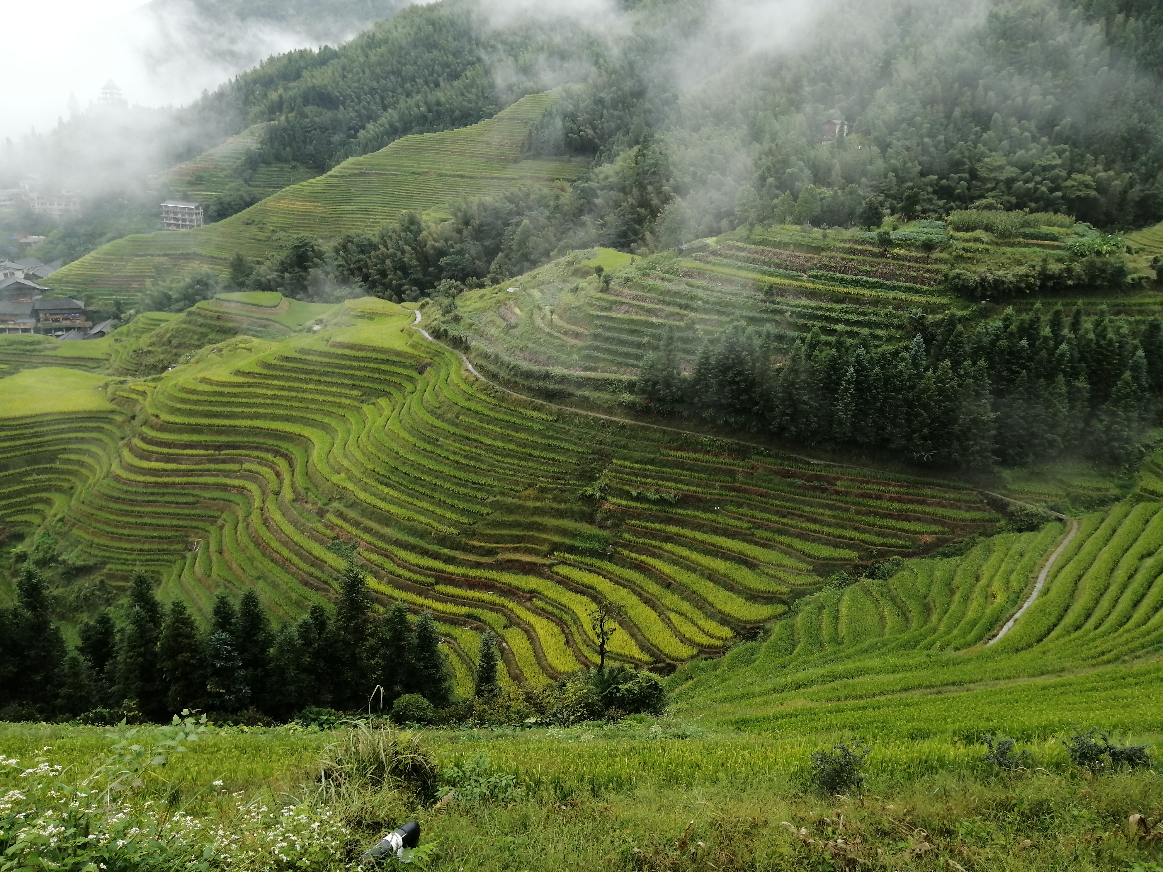 受惊，悠闲，突破—退休老阿姨的2020感受