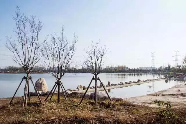 最全大荔旅游攻略拿走不谢,大荔必去4个景点