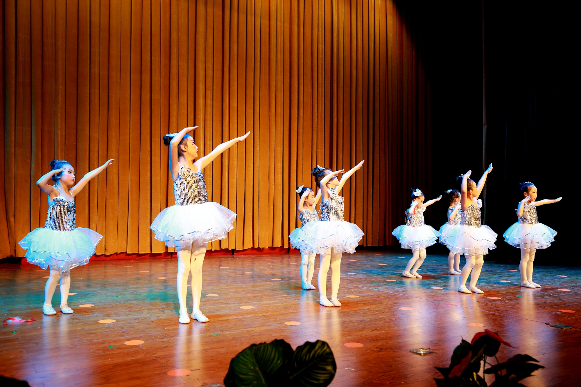 金鸡艺术《舞动人生梦想起航》专场晚会在青少年活动中心演出