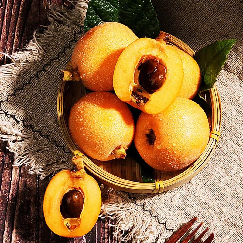 城厢区常太镇首届“壶兰耕读·云上枇杷文化节”暨第22届枇杷节来啦！快来“嗨枇”吧~