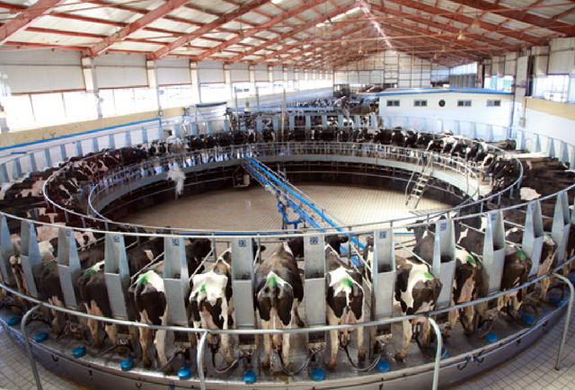 奶粉冲调方法及操作流程,奶粉生产的具体操作步骤