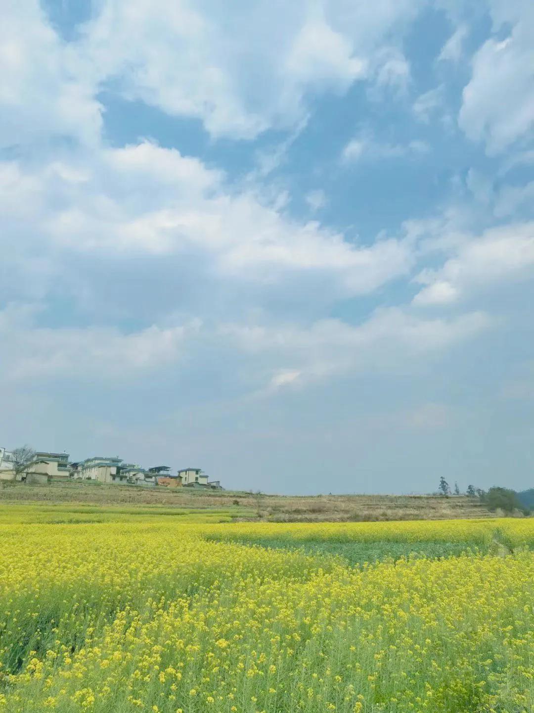 昆明亲子游自驾游攻略推荐路线,昆明周末亲子游十大好去处