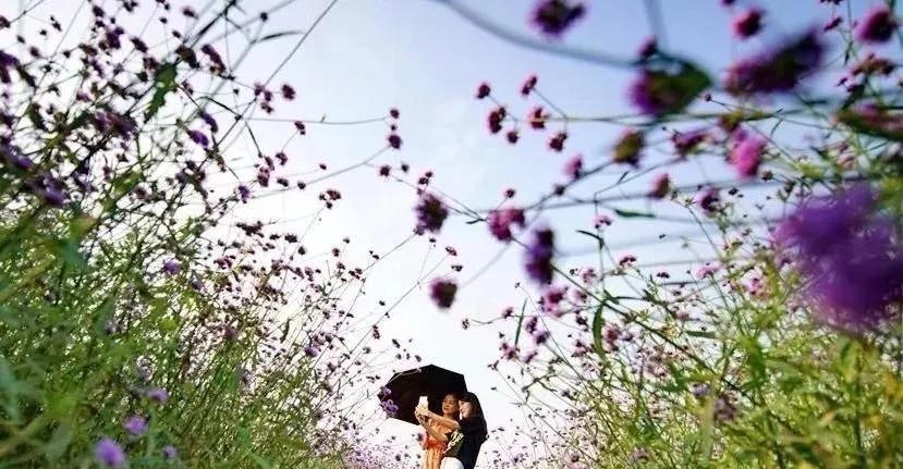 开平之美,开平的风景视频