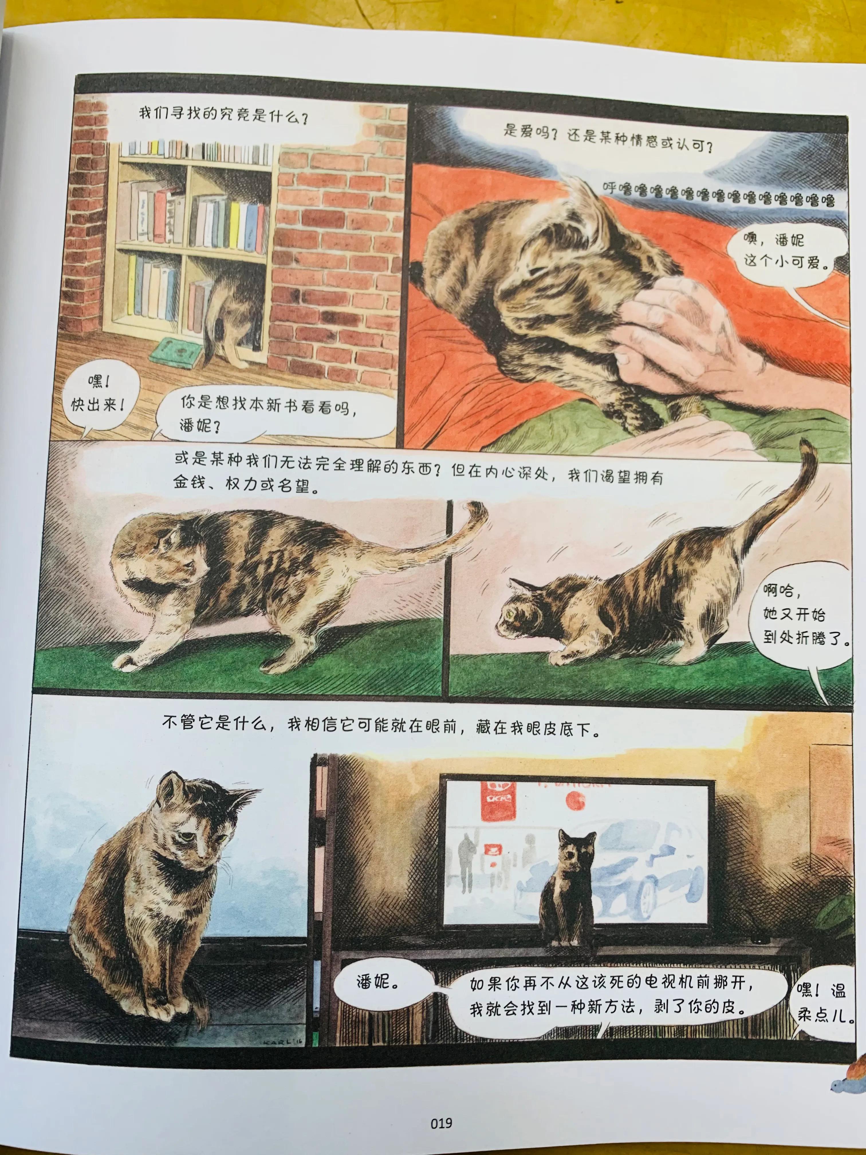 猫咪搞笑日常漫画,一个关于猫的搞笑漫画