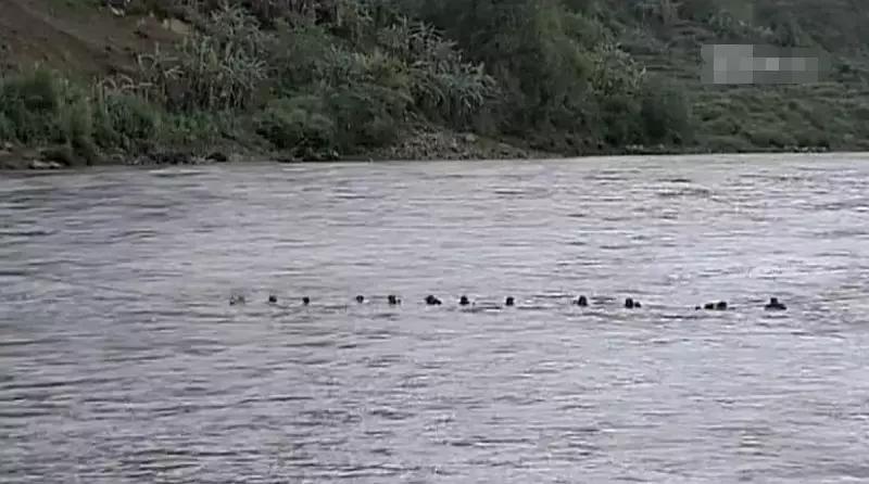 我的团长我的团主演去腾冲祭奠,我的团长我的团是在腾冲拍的吗