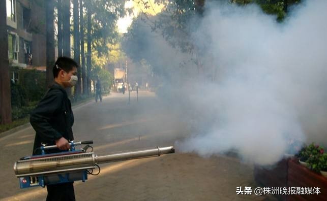 小区树木白蚁泛滥由谁负责,小区出现白蚁社区管不管