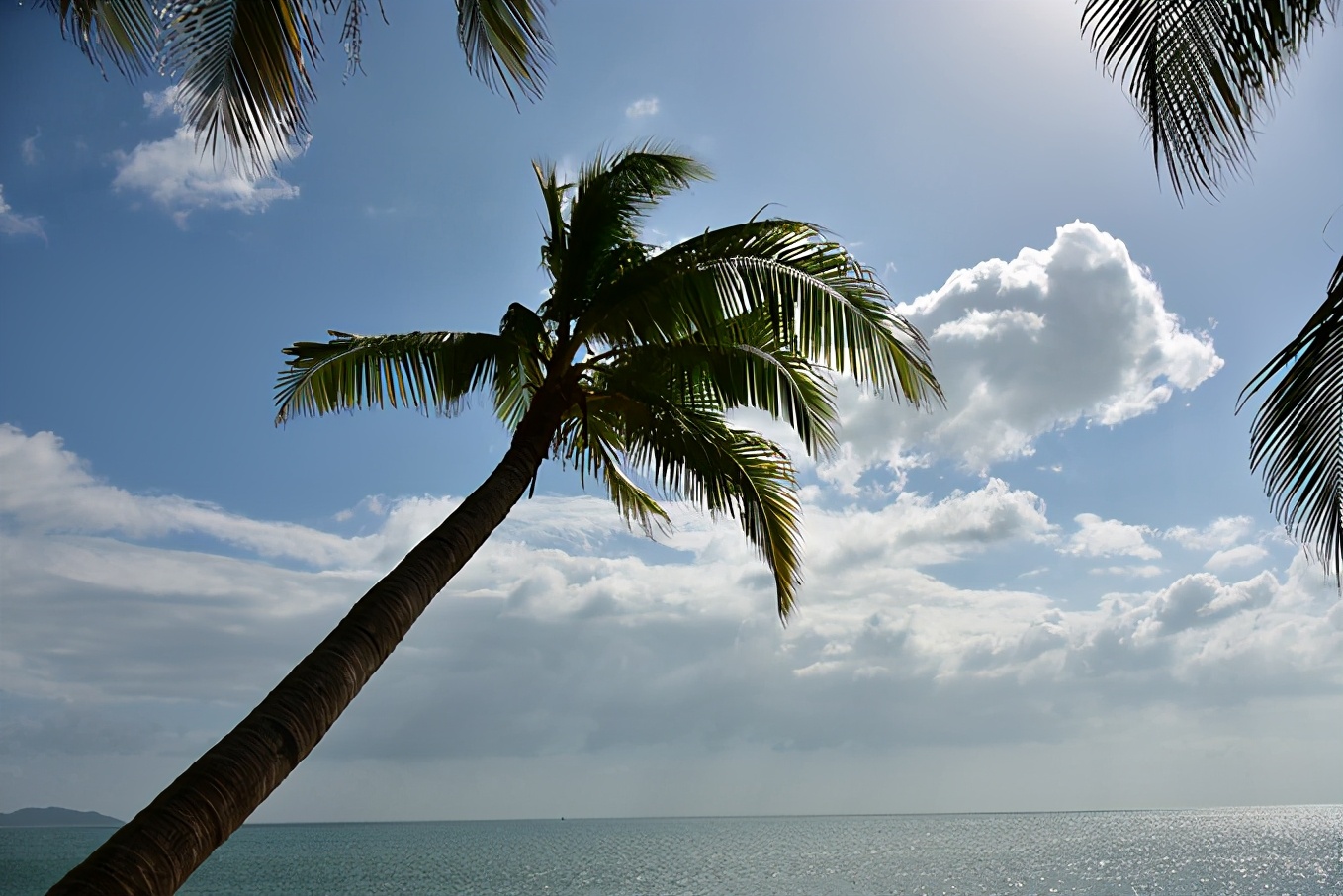 来三亚必吃的海南菜,三亚旅游在哪里吃海南菜