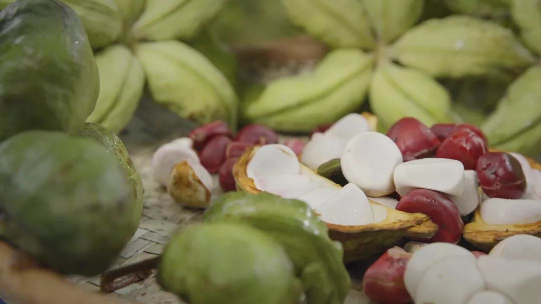 可乐是树上长的吗 (可乐可以长在树上吗)