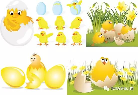 生命教育孵蛋,生命教育课程孵小鸡