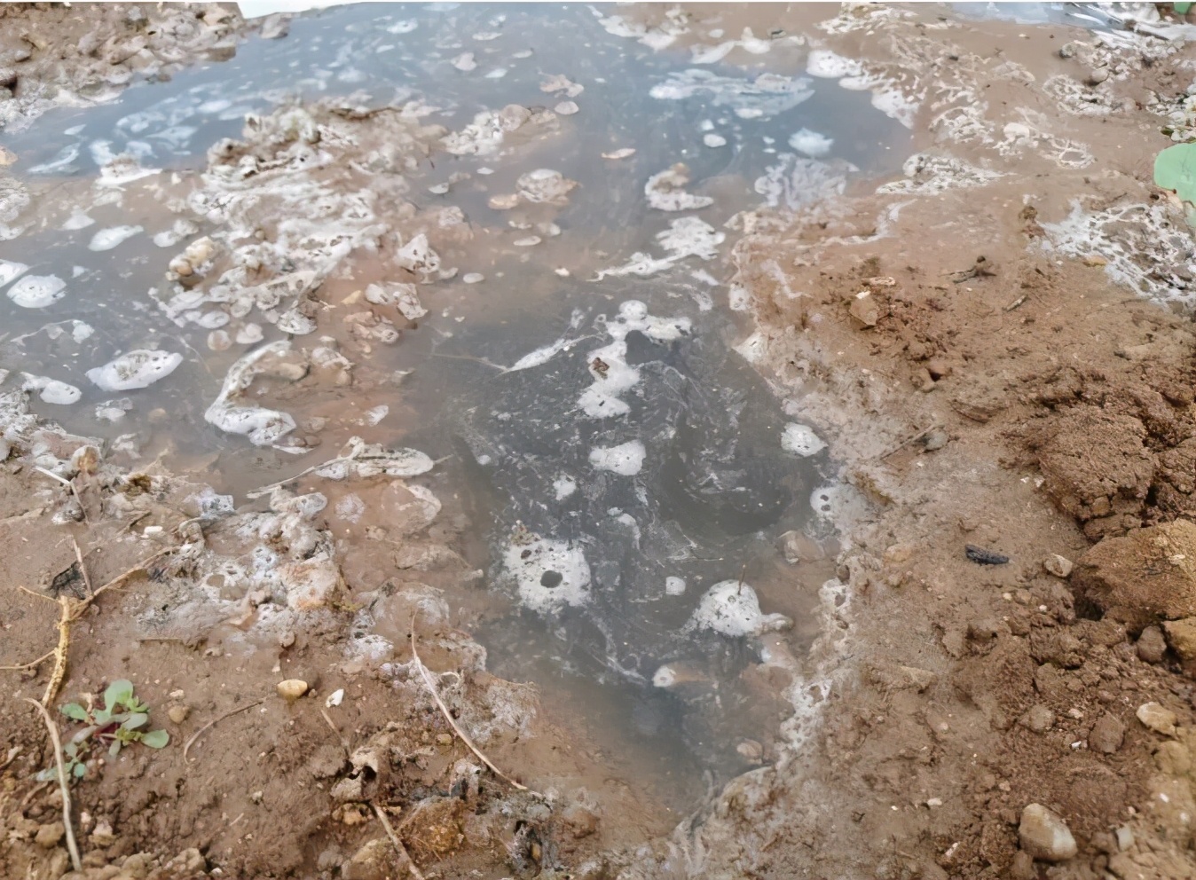 井水异味未解之谜,井水变臭怎么回事