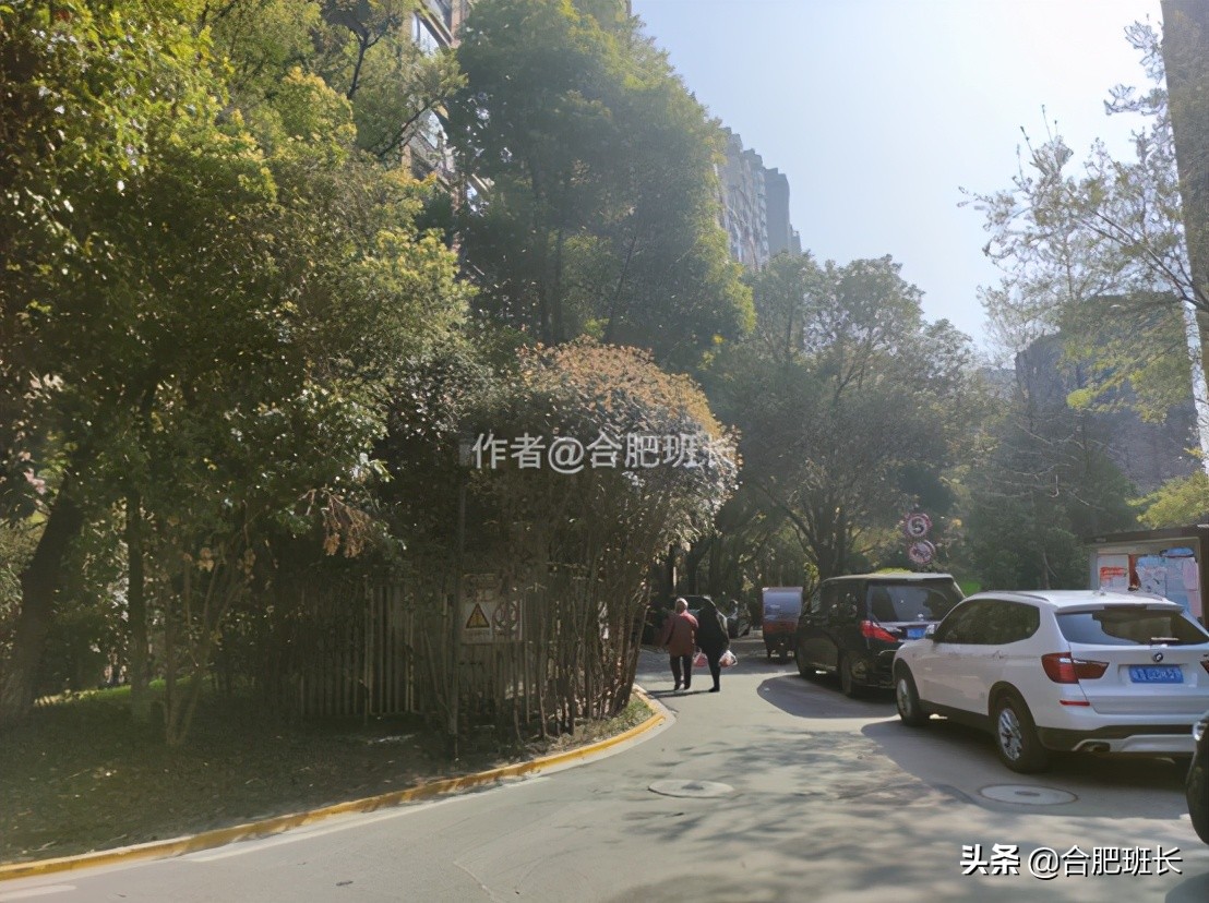 合肥水景房推荐,合肥绿地海顿公馆是住宅吗