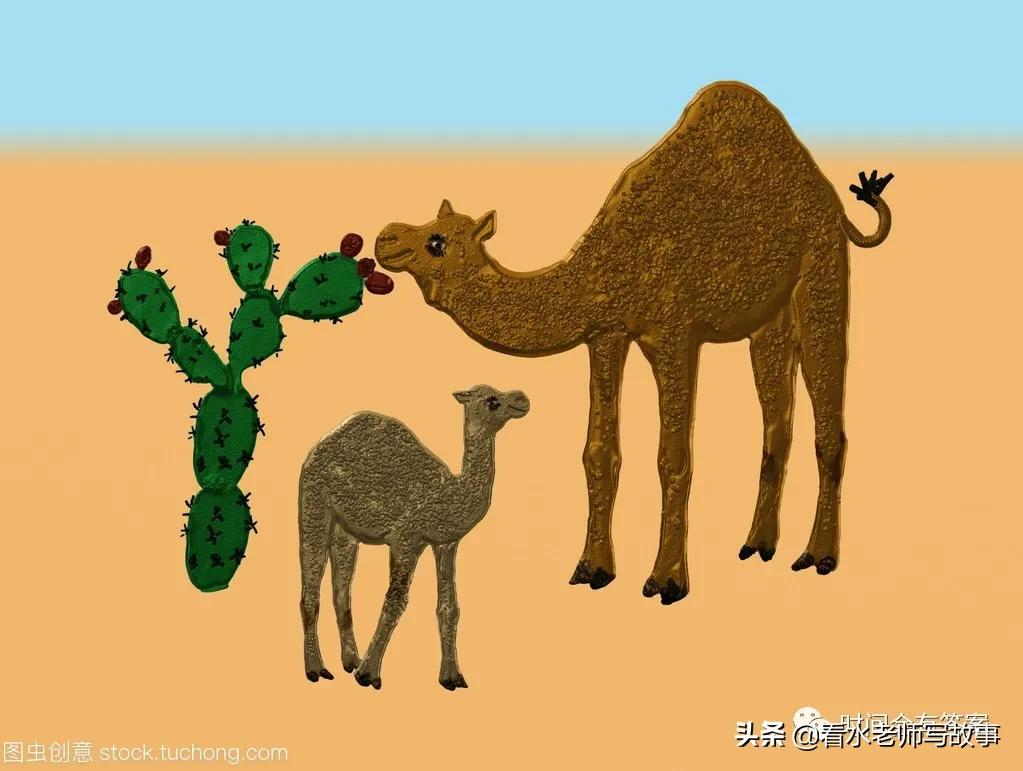 D87博远班小作家读写成长营：《骆驼和仙人掌》