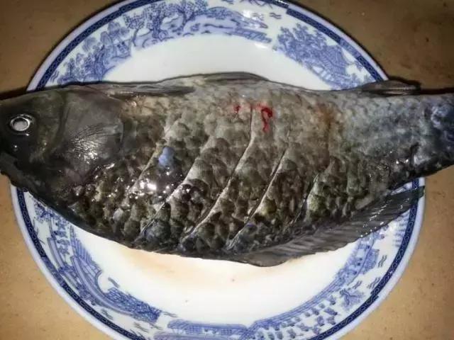 炖鱼鱼汤不白怎么回事,炖鱼汤不白