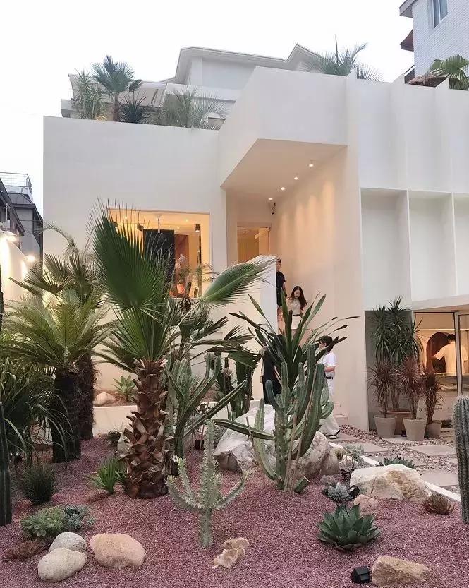 韩国首尔购物必去店,韩国探店必买清单