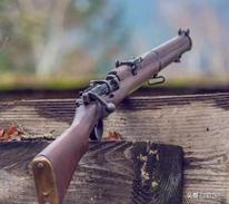 我这场痴迷啊，Game“战地5”