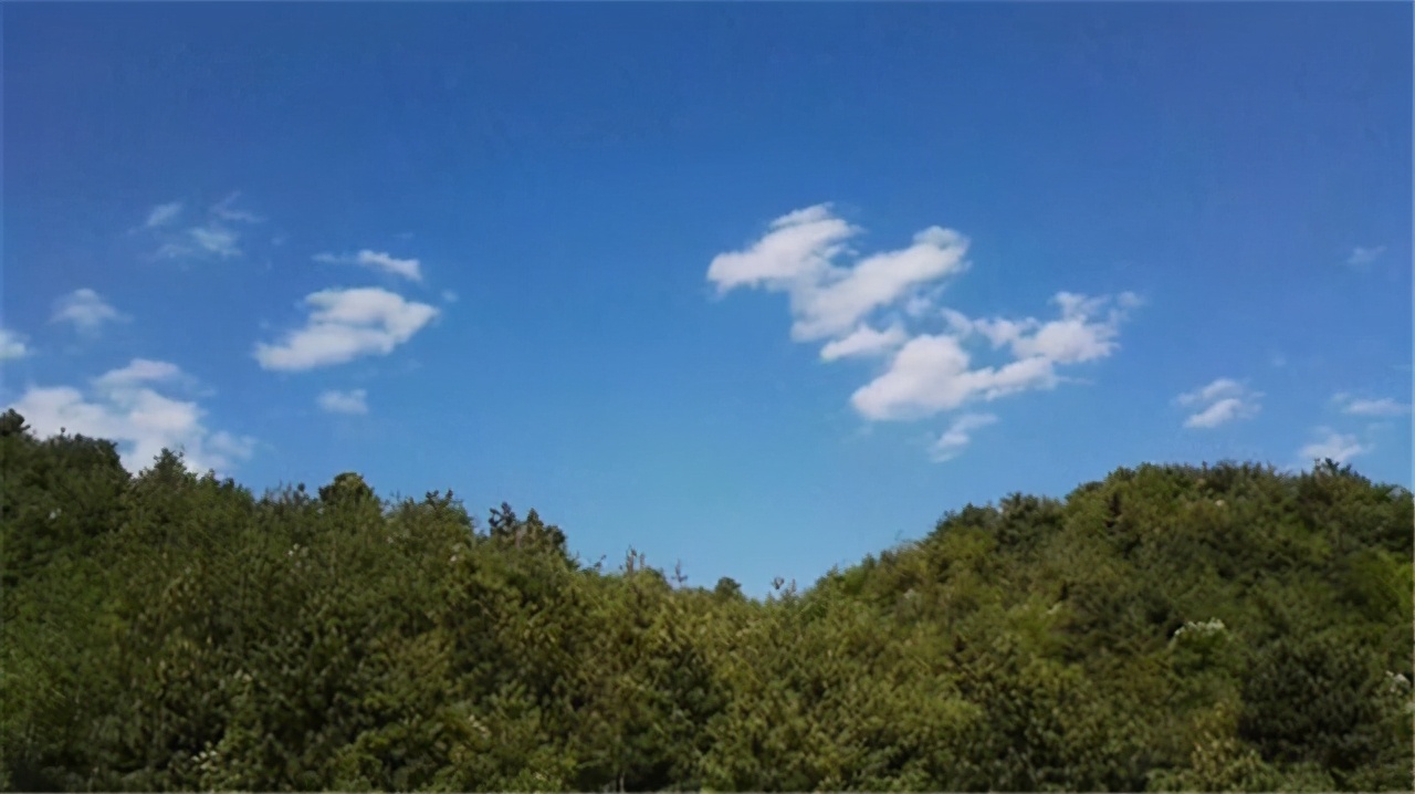 混：中国社会的江湖化何以愈演愈烈？