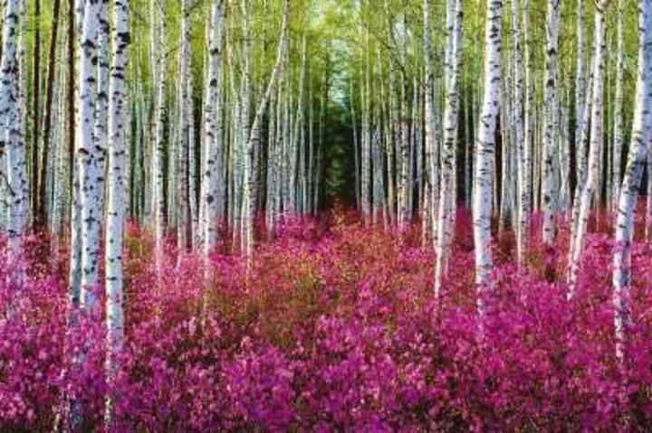 地名趣谈,桦甸是一个什么样的城市