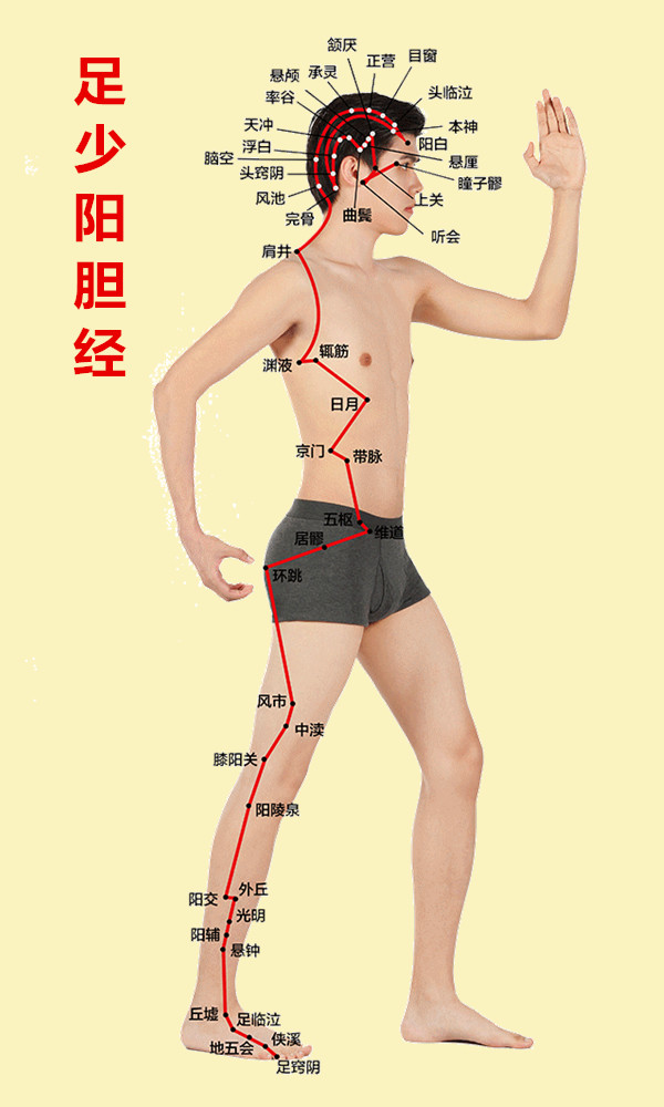 人体有十二条经络和三焦,人体有哪12条经络