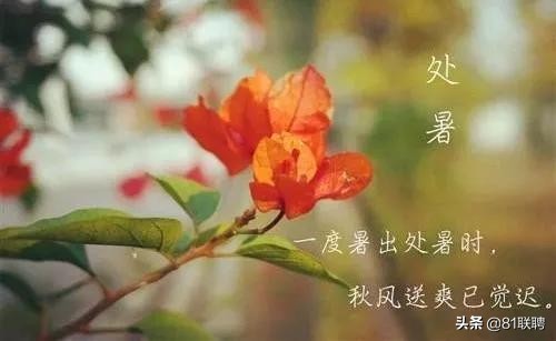 融创物业招人标准,融创物业秩序领班工资多少