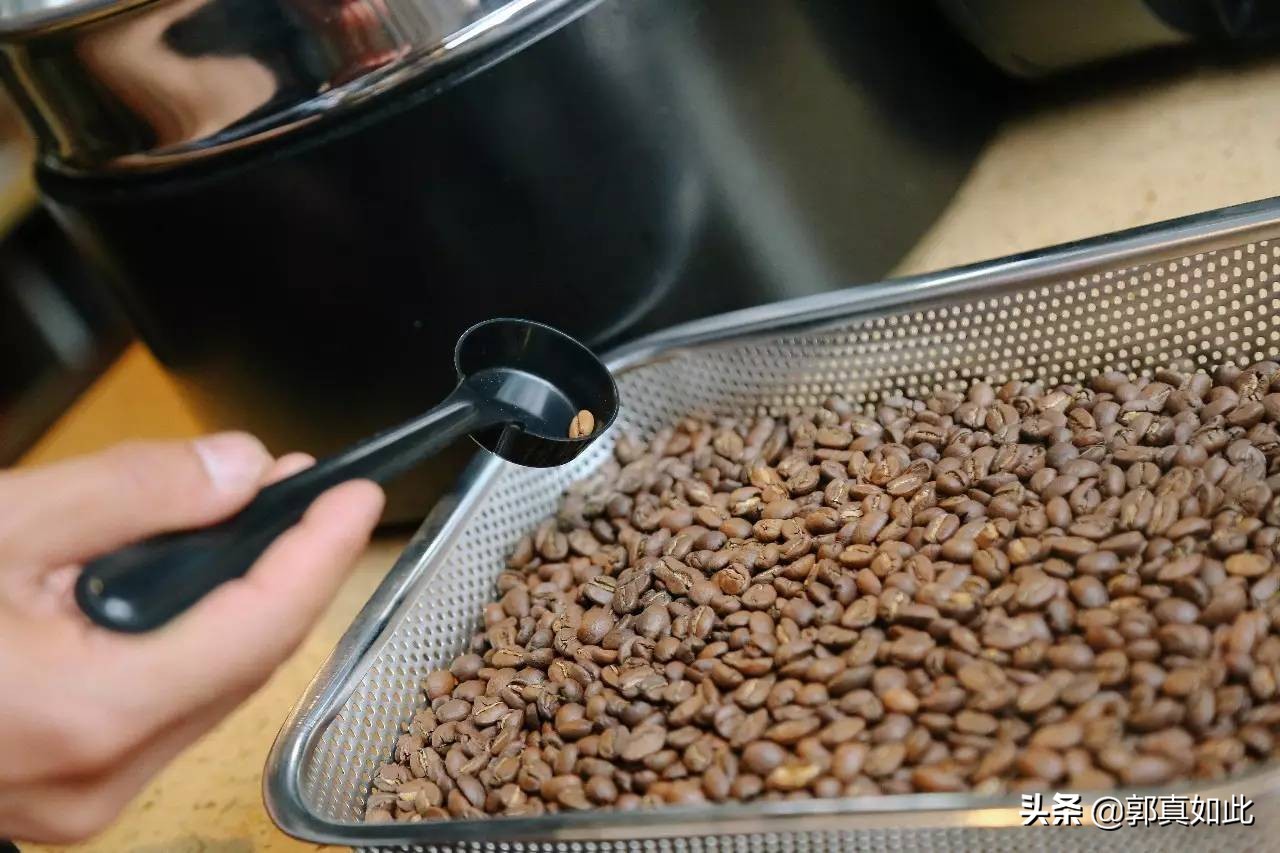 喝了这么多年的普洱,喝了这么多年茶