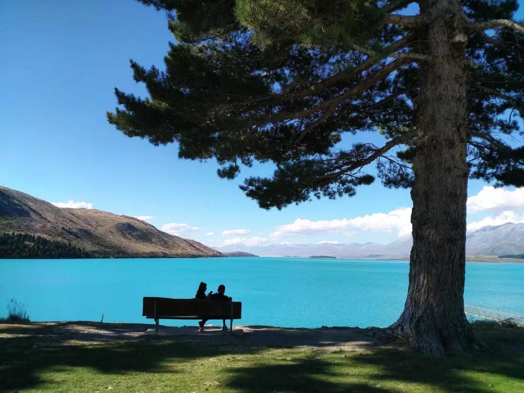 新西兰南太平洋明珠,新西兰太平洋的明珠