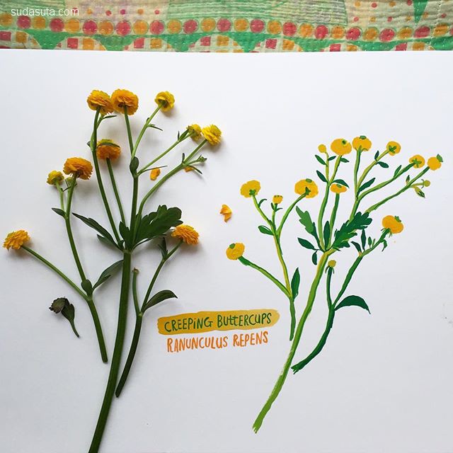 插画师carolyngavin绘画作品,carolyn插画