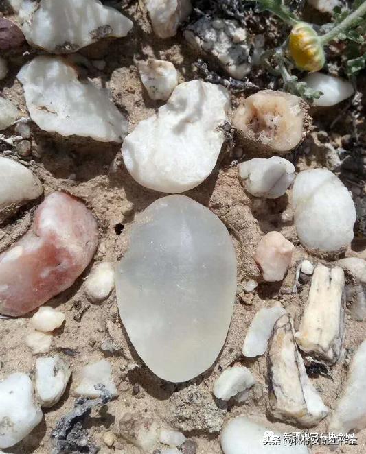 最好的新疆金丝玉,纯正金丝玉