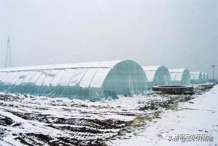 冬季怎样给大棚增温,冬天大棚增温措施有哪些