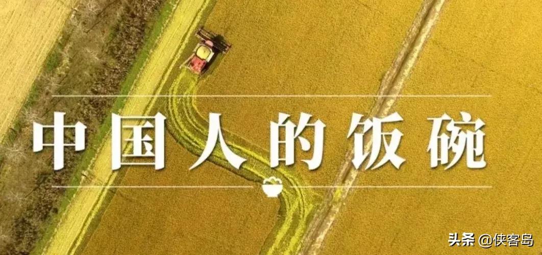 侠客岛:乡愁里的中国