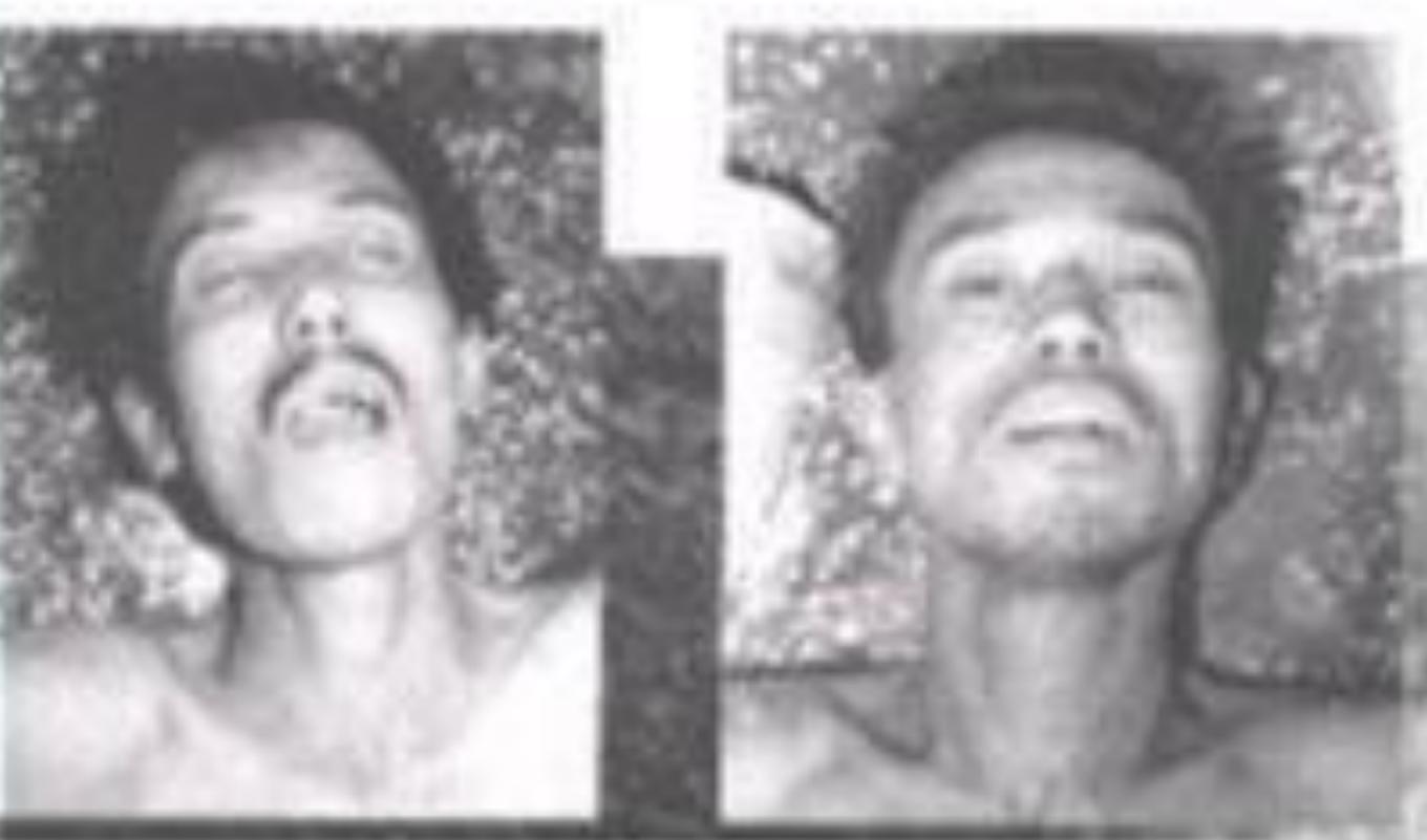 东北二王特大杀人案,东北二王特大杀人案的主角