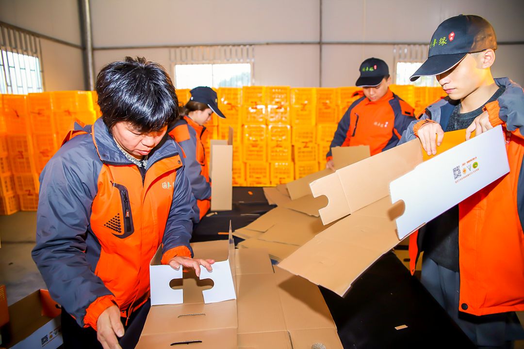 超爽福利暴击！高山神秘“金疙瘩”,甜蜜你的冬天