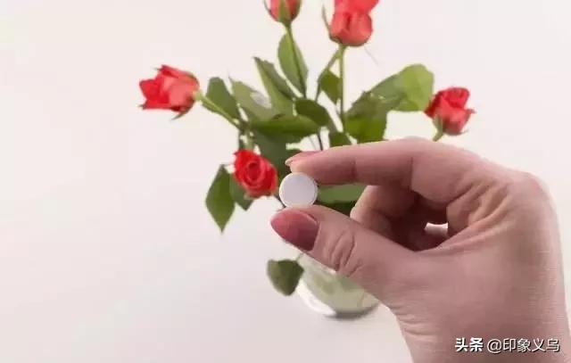 过期药片可以养什么花,用过期的药片能种花吗