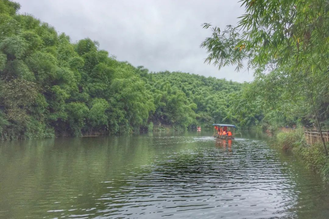 沐川竹海看雪,沐川竹海游玩视频